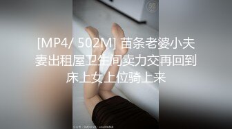 [MP4/962MB]扣扣傳媒 91Fans FSOG042 成人用品的銷售技巧 絲絲情人