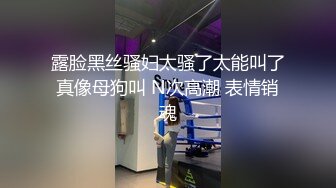 商城偷窥极品眼镜老湿试穿内衣 外表看着文静 穿着黑丝吊带丝袜 蓝色小内内 够闷骚