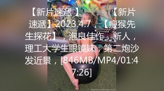 镜子前干东北熟女