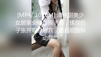 曾经爱着的你的儿子和我…～在无法压抑的肉欲下湿润