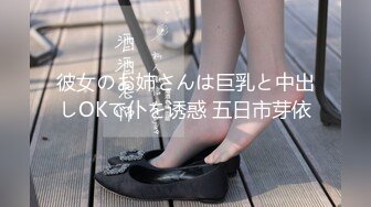 彼女のお姉さんは巨乳と中出しOKで仆を诱惑 五日市芽依