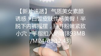 極品巨乳小模外拍.色影師忍不住摸幾把還偷插小穴