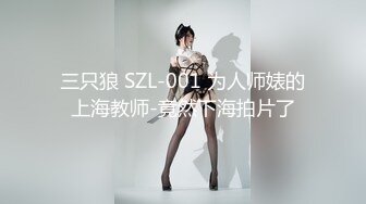 NZ骚逼小博士毕业回国去当老师，我一个人默默欣赏库存