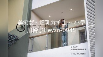 美痴女～爆乳弁护士～ 小早川怜子Heyzo-0945