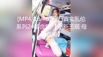 酒后后入老婆2