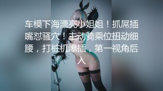 ❤颜值与身材俱佳，风格多变调教系网红小姐姐 (4)