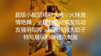 魔劍公主的性感騷姿 4