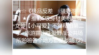 新维拉舞团上流御姐，女人味十足女神【语梦】最新高端私定，情趣开裆亮丝，露奶露逼劲曲骚摇，4K画质临场感超强 (2)