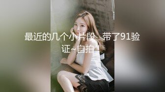 麻豆传媒 md 0230 家族团圆饭 ep1 李蓉蓉、苏畅