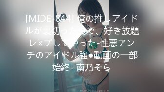 [MIDE-844] 俺の推しアイドルが裏切ったので、好き放題レ×プしてやった-性悪アンチのアイドル強●動画の一部始終- 南乃そら