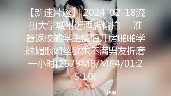 [MP4/740MB]麻豆傳媒 MDHT0021 奇淫旅社 禁欲窮遊後的顯身勾引 艾鯉