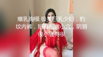 爆乳胸模 极美巨乳少妇，豹纹内裤，掰开粉嫩小穴，阴唇很小骚得很