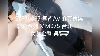 【蜜桃传媒】pme-249 诱拐清纯少妇回家上床 吴文淇