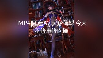 7月新流出流出私房大神极品收藏商场女厕全景后拍系列蕾丝裙美女的黄金比例丰满蜜桃臀