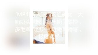 【国产版】[XSJKY-095]凌萱 厕所里强上我的美女主管 性视界传媒