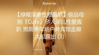 完美身材【古丽啊】绝色美女~大胸翘奶~道具操逼~各种姿势秀【10V】 (1)