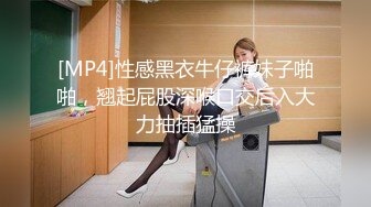 国产麻豆AV MD MD0205 出租车司机的恶趣味 新人女优 唐霏