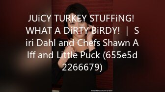 JUiCY TURKEY STUFFiNG! WHAT A DiRTY BiRDY! ｜ Siri Dahl and Chefs Shawn Alff and Little Puck (655e5d2266679)