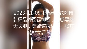 2023-11-09【精品探花阿伟】极品外围骚御姐，性感黑丝大长腿，美臀骑乘猛砸，张开腿站立后入爆操