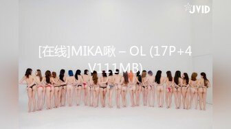 [在线]MIKA啾 – OL (17P+4V111MB)