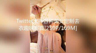 Twitter大神各种美女定制去衣趣味写真[250P/169M]